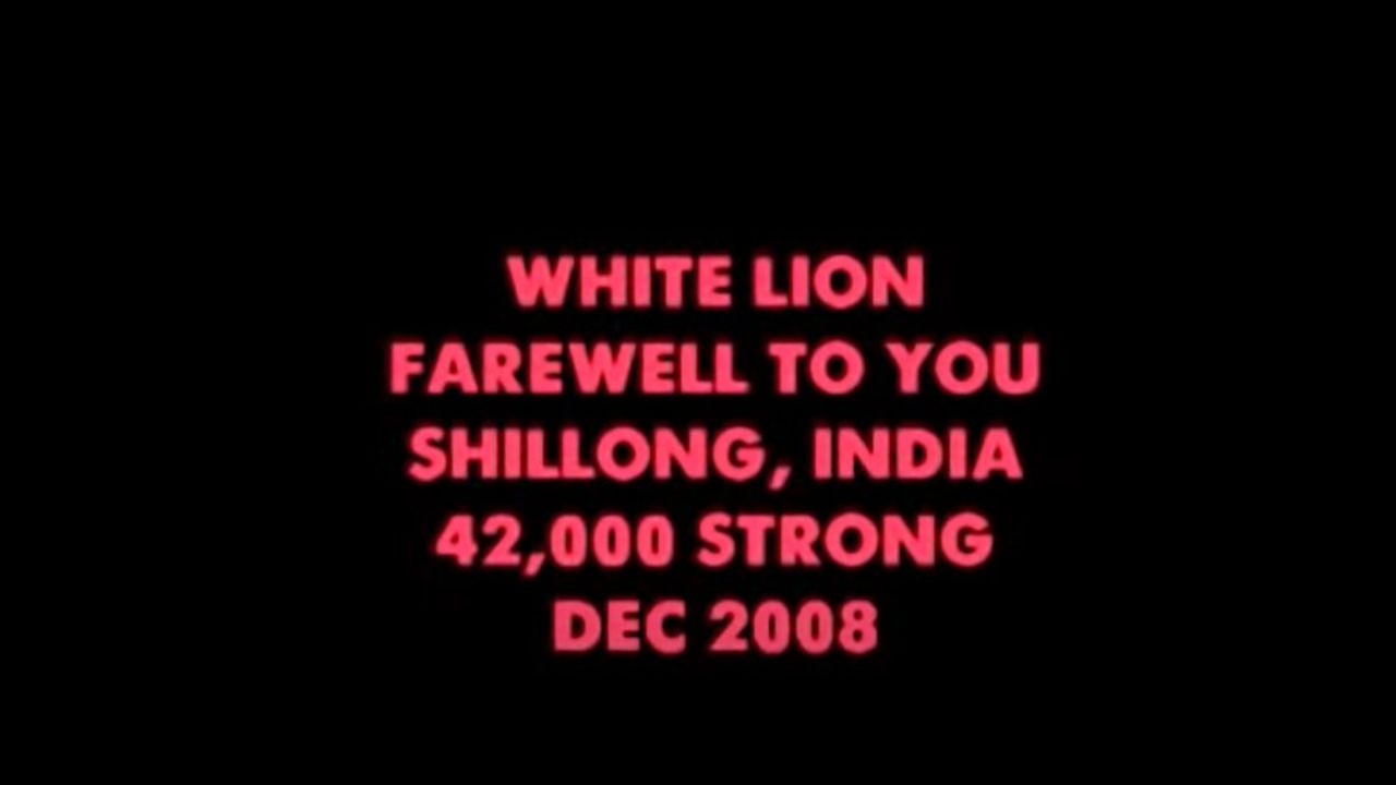 WHITE LION IN SHILLONG INDIA -LADY OF THE VALLEY - FAREWELL TO YOU